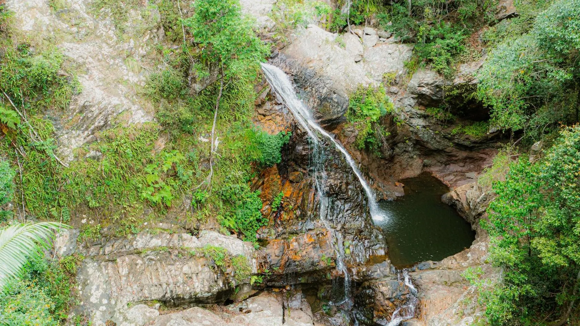 Vakantiehuis Creekside Cottage, Pet Friendly W Pool Perwillowen Australië